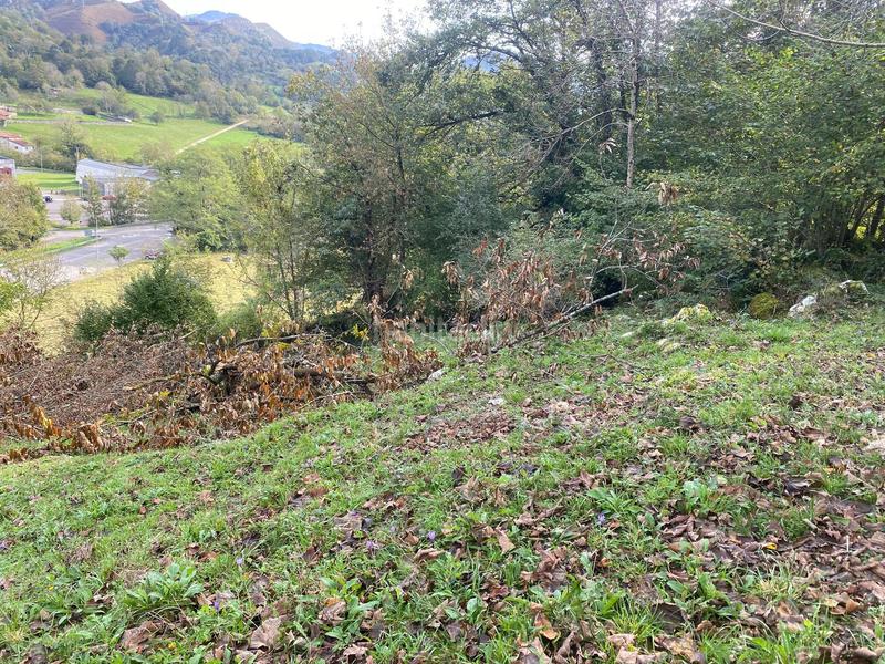 Foto b8f78b90-1d52-4252-88ad-1cb3cffa2874. Terreno residencial parcela edificable en villar 1.700 m con servicios a pie de finca en Onís