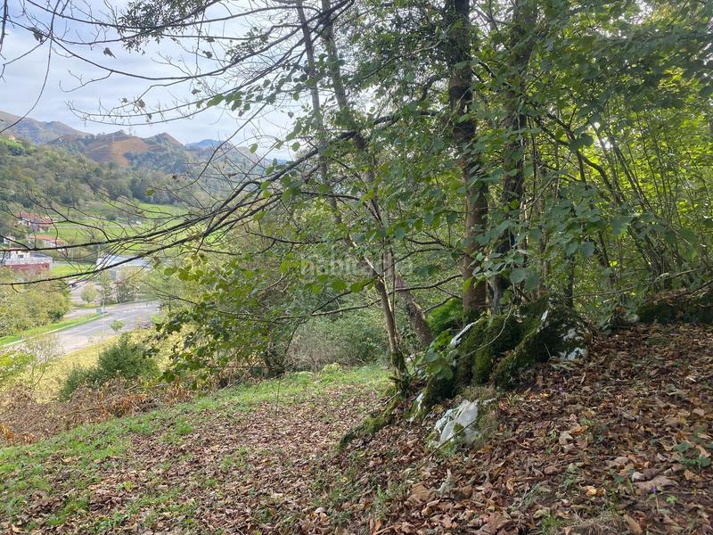 Foto e1f98b95-7dd9-446b-8933-e4033bbbc4ef. Terreno residencial parcela edificable en villar 1.700 m con servicios a pie de finca en Onís