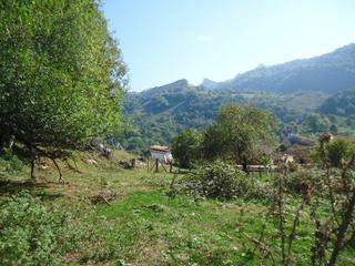 Terrain résidentiel à Avin. Venta finca edificable de 3.900 m2