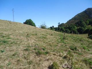 Terreno residencial  La vita. Oportunidad bancaria  parcela edificable cerca de arriondas