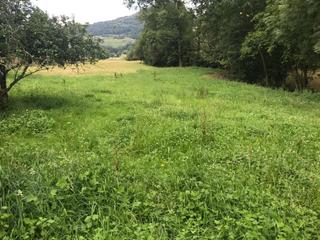 Terreny residencial a Cangas de Onís. Venta de finca llana, edificable, a 10 minutos de cangas de onís