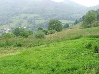 Terreny residencial a Cangas de Onís. Venta de finca edificable con vistas a picos de europa