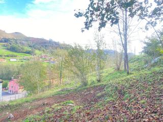 Terrain résidentiel  Villar de onis. Venta de finca edificable al lado de benia de onís.