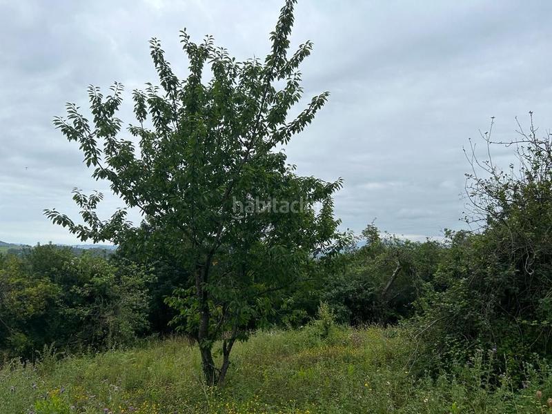 Foto 4f83de20-a5d8-475d-b58f-63e3c72c2513. Terrain résidentiel dans Parroquias suroccidentales Villaviciosa