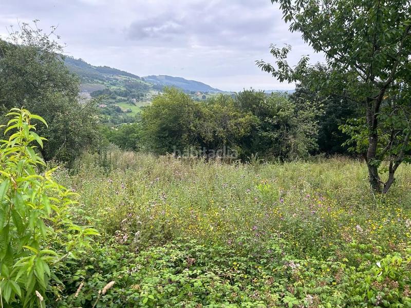 Foto 552156b9-cf19-4554-a432-402ed16daddd. Terrain résidentiel dans Parroquias suroccidentales Villaviciosa