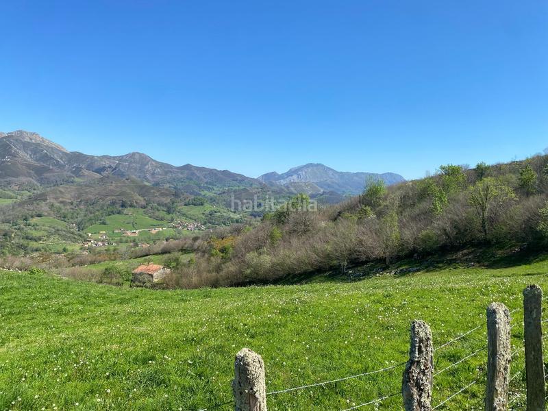 Foto 0ce172eb-abd8-4010-bbfd-abda0d498bf6. Landgut in Onís