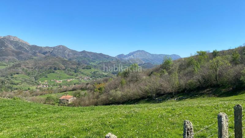 Foto 3f838288-4b75-44af-8aef-d6e2032a3cd3. Landgut in Onís