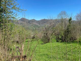 Propriété  Bobia de arriba. Venta de finca rústica con cuadra