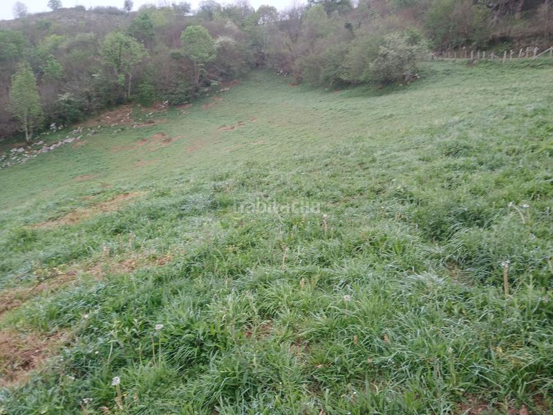 Foto c2a309a0-9e59-4d5f-b22e-b974c3f9b73e. Landgut in Onís