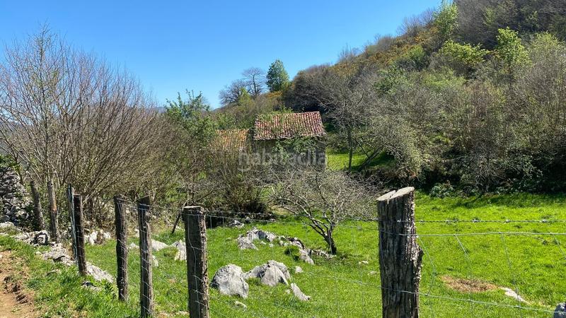 Foto f52f1a28-92e4-476f-b9b1-14c54fc8bc35. Landgut in Onís