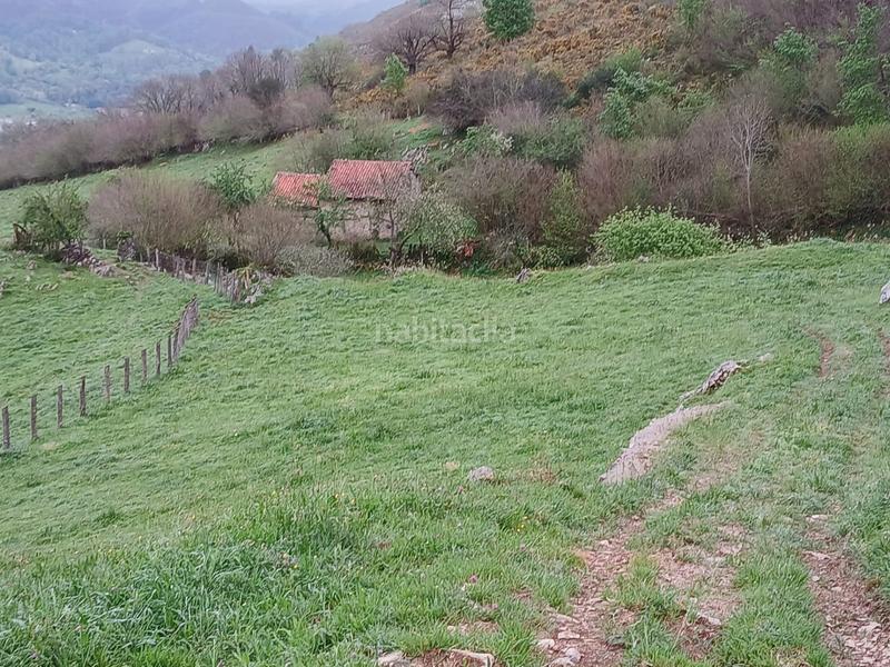 Foto f63e10d5-7ab4-4b42-9a30-20675f9429b6. Landgut in Onís