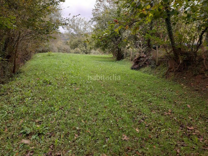 Foto 0404c51c-d1c7-495b-8c05-c4791009ee1c. Terreno residencial finca edificable a 10 minutos en Cangas de Onís