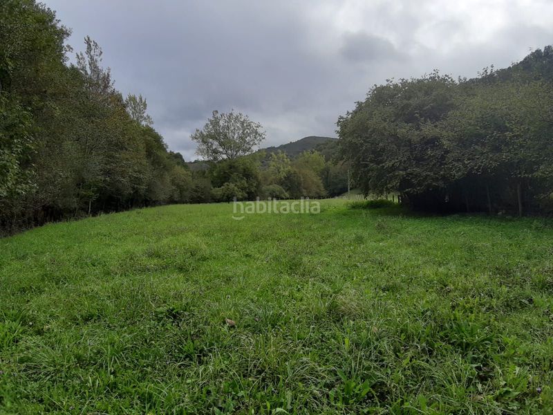 Foto 0523b761-60c2-4f57-9f70-fc09008fffa9. Terreno residencial finca edificable a 10 minutos en Cangas de Onís