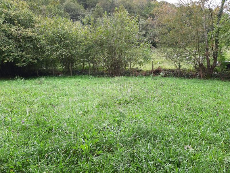 Foto 5ae3ef5b-7c1e-4178-9f41-f361b5fd2359. Terreno residencial finca edificable a 10 minutos en Cangas de Onís