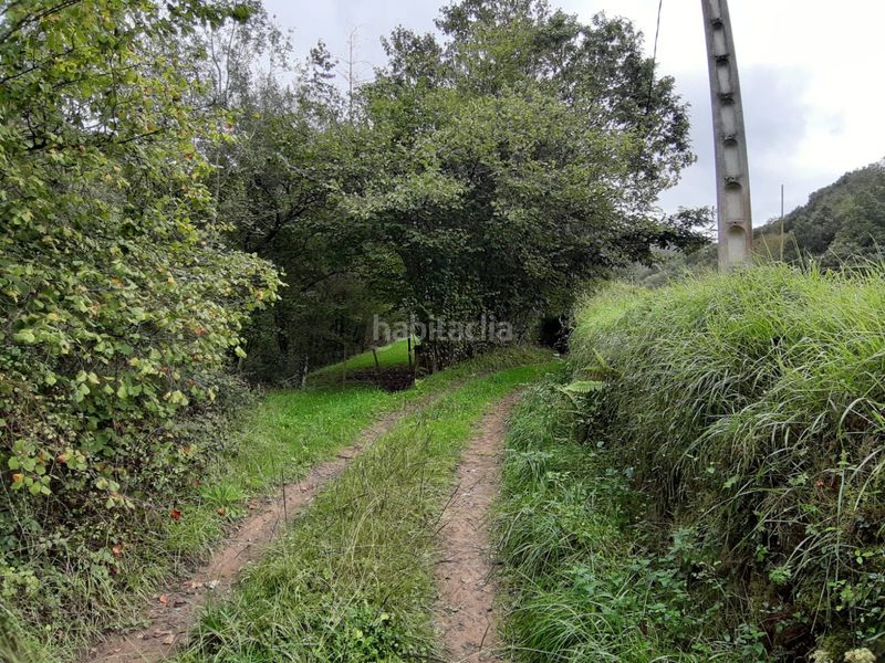 Foto 90d24f9d-5144-4f98-8c40-773cd118ce35. Terreno residencial finca edificable a 10 minutos en Cangas de Onís