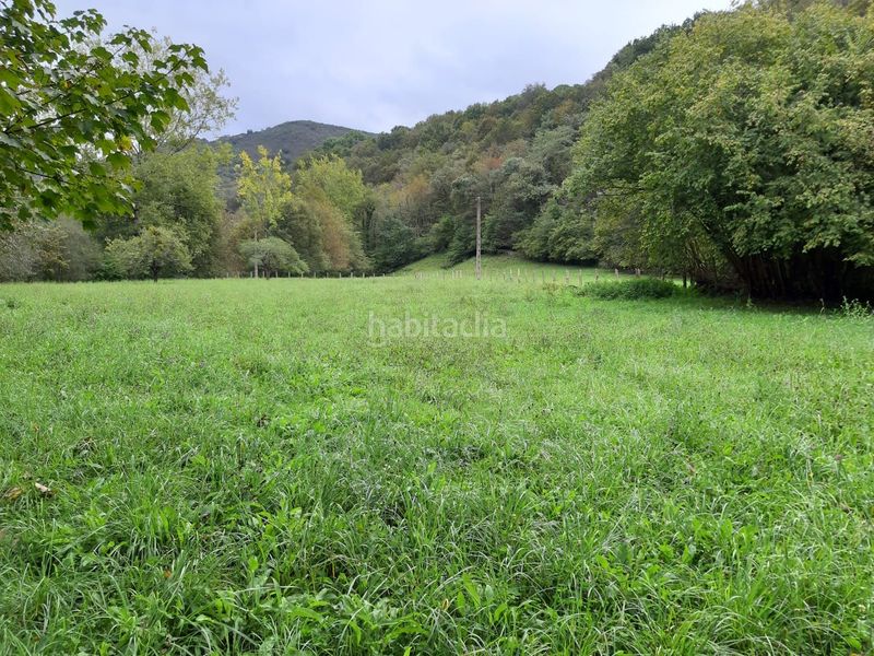 Foto ea462482-0e7f-4013-8624-015058a06d9a. Terreno residencial finca edificable a 10 minutos en Cangas de Onís