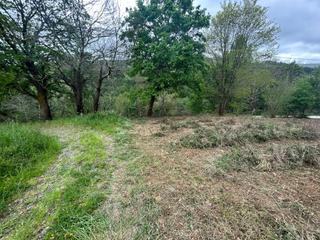 Terreno residencial en Parres. Finca edificable  a 5 minutos de cangas de onis