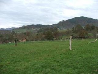 Terreny residencial a Cangas de Onís. Finca edificable a 10 minutos de cangas de onis