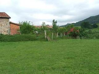 Terreny residencial a Cangas de Onís. Venta de  estupenda finca edificable en mestas de con