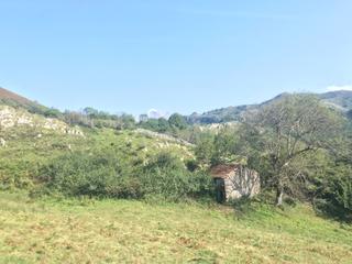Finca rústica a Cangas de Onís. Finca rústica con cuadra de piedra