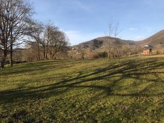 Terreny residencial a Cangas de Onís. Finca llana, soleada y con vistas en pueblo con servicios