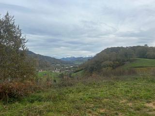 Terreno residencial en Parres. Finca edificable con vistas a picos de europa