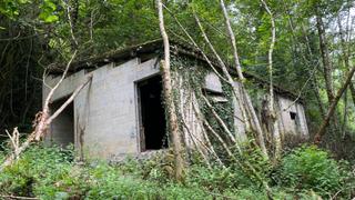 Finca rústica a Parres. Terreno de interés forestal a 5 km. de arriondas