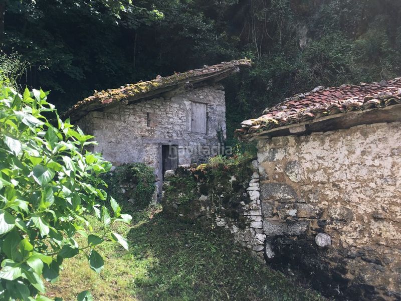 Foto 0cb9cae9-7ecb-46f5-affe-b062f29ff0a8. Casa a Amieva