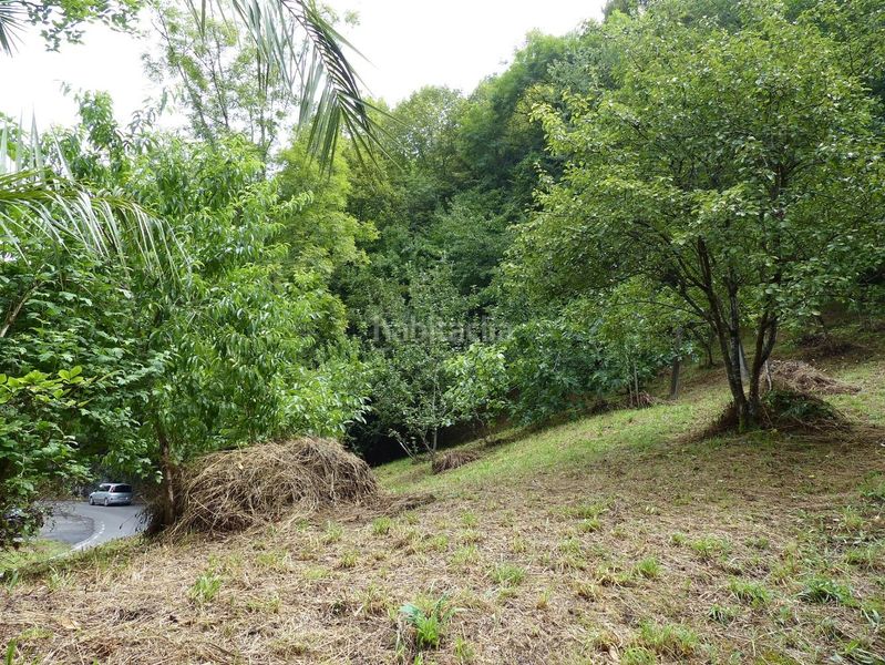 Foto 34a6668e-85c2-48d6-8158-f0ea703e72bf. Casa a Amieva