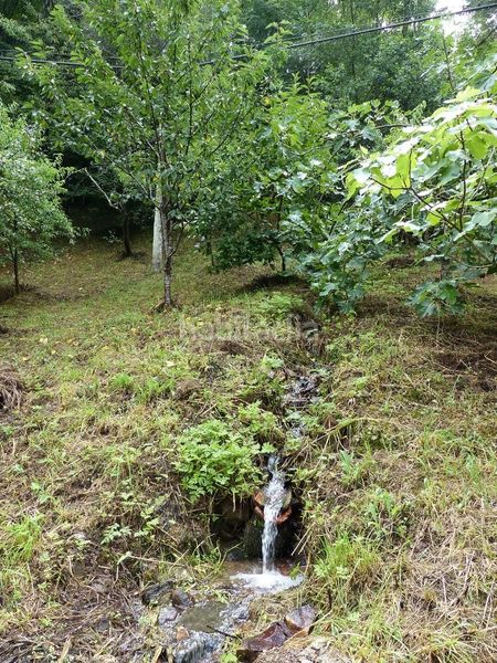 Foto 6286bedb-55a1-4fcf-8d62-d31ec5226b82. Casa a Amieva