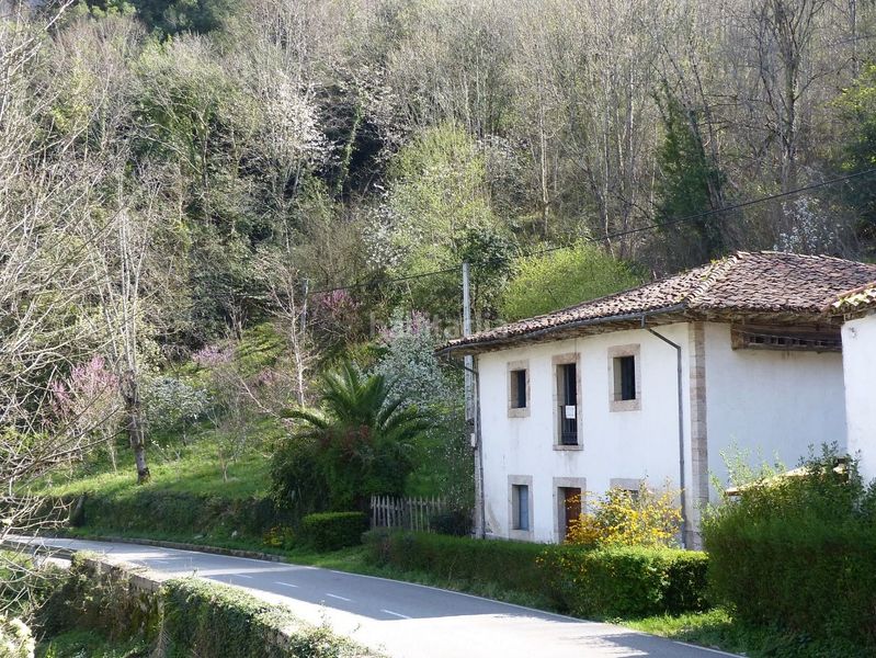 Foto 7975f24e-764f-40db-9391-1fdd6a8e3fed. Casa a Amieva