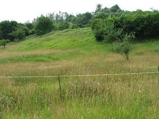 Terreno residencial en Parres. Venta de terreno parcelable cerca de arriondas