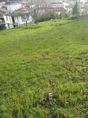 Terreno residencial en Parres. Finca edificable en arriondas con casa  para reformar.