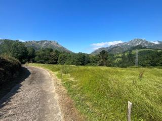 Terreny residencial a Cangas de Onís. Venta de finca parcelable en el concejo de cangas de onís