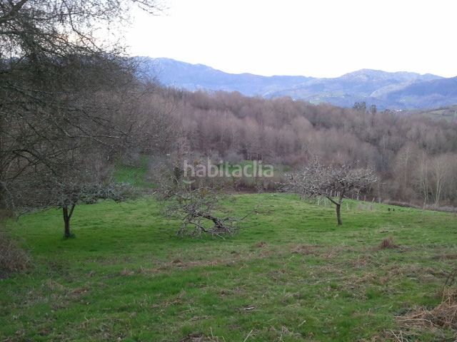Foto 08f40937-e020-4aca-8c71-d6392f4094cf. Casa a Parres