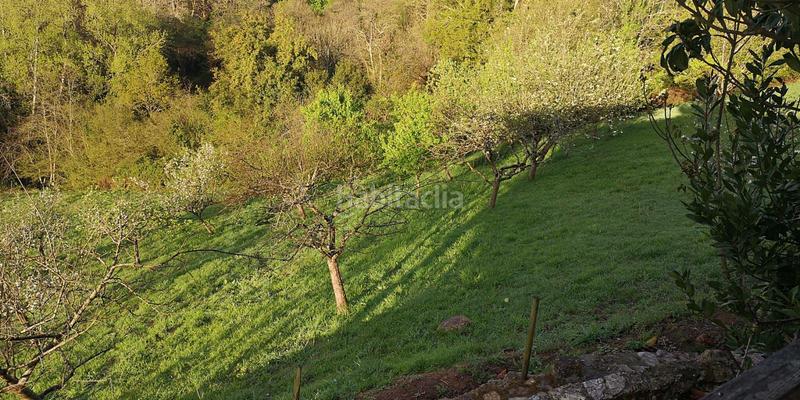 Foto 5be5e4fa-215b-48fd-9fad-e6c5da33d609. Casa in Parres