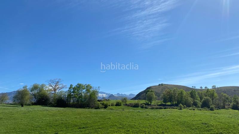 Foto 0bb4ecb0-d0fd-4955-8500-74096288094b. Casa conjunto de dos fincas con cuadra en onis en Onís