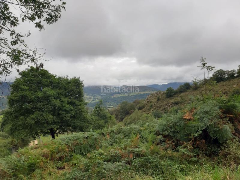 Foto 8c2bf63e-ec30-4872-a554-b60ab53bcc8c. Haus in Cangas de Onís