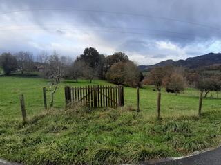 Terreno residencial en Parres. Finca edificable a 3 minutos de cangas de onis
