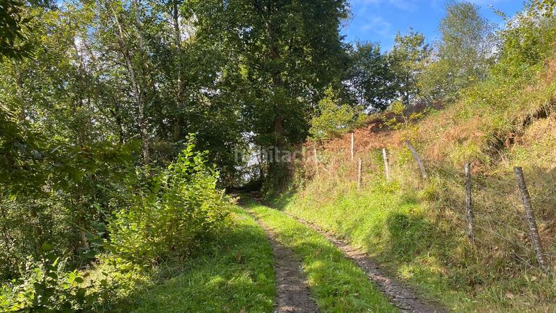 Foto 04e1fc26-114e-4d01-ae00-c96435d61a26. Finca rústica a Cabrales