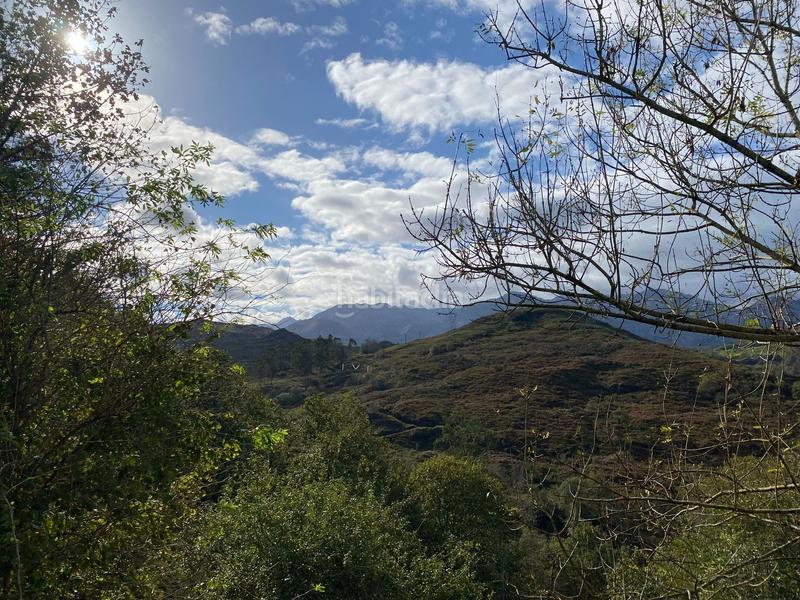 Foto 2a539407-b1af-4357-9dfe-ce61fb3e8140. Finca rústica a Cabrales