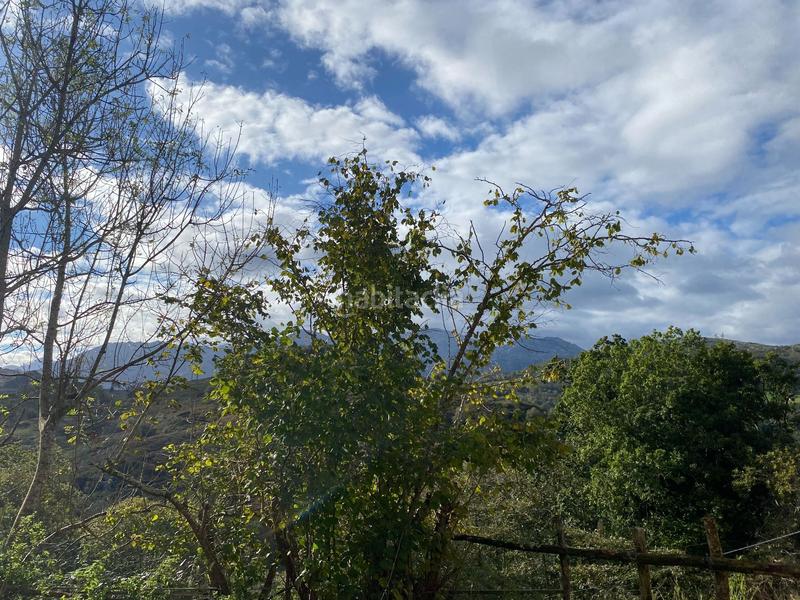 Foto afa340e5-7f2d-4358-93d6-4e247ba65700. Finca rústica a Cabrales