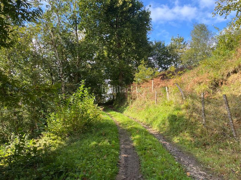 Foto bbab3301-65de-4236-8cc4-f20abfa45bdd. Finca rústica a Cabrales