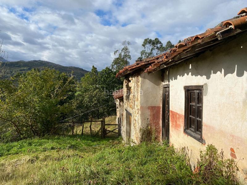Foto f1356130-54a4-4350-9e88-e800000431bd. Finca rústica a Cabrales