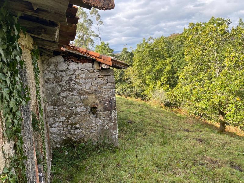 Foto f4081c87-da17-4b05-809f-b6b3614b2c90. Finca rústica a Cabrales