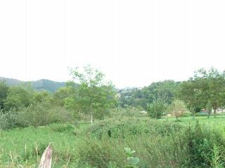Finca rústica a Cangas de Onís. Finca rústica totalmente llana de 1000 m2