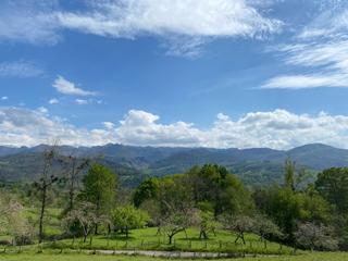 Terreny residencial  Beceña. Venta de parcela edificable con vistas a picos de europa