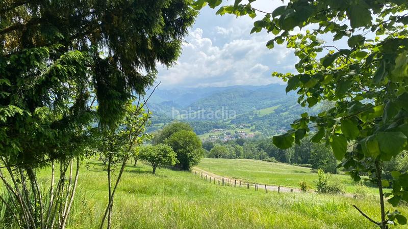 Foto 45cdc0b4-7aca-4427-8070-9e95a3a2baa1. Terreno residencial finca parcelable con vistas a picos de europa en Cangas de Onís