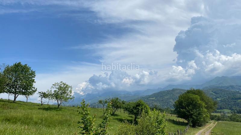 Foto 82cbd8b3-38da-4965-aca1-74931867a865. Terreno residencial finca parcelable con vistas a picos de europa en Cangas de Onís
