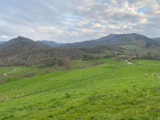 Finca rústica  Narciandi. Finca rústica con cuadra de piedra